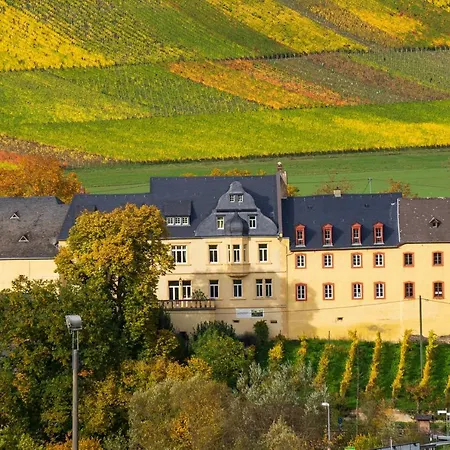 Wohnen Auf Dem Weingut - Klein Und Fein - Wengertssube Apartment Maring-Noviand Exterior photo