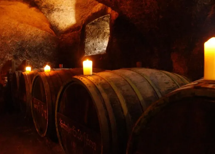 Wohnen Auf Dem Weingut - Klein Und Fein - Wengertssube