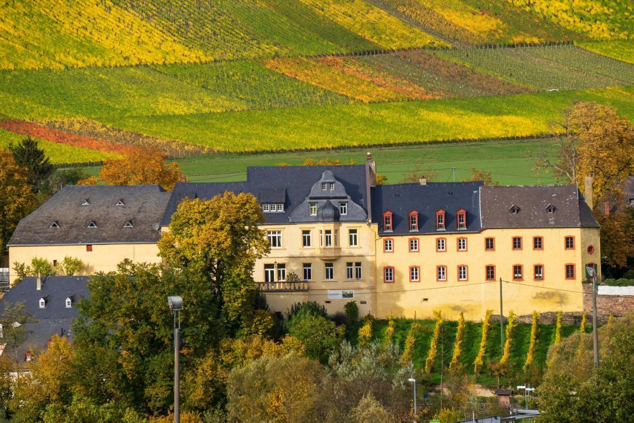 Wohnen Auf Dem Weingut - Klein Und Fein - Wengertssube * Maring-Noviand